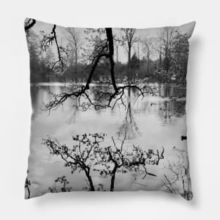 Mirror Lake / Swiss Artwork Photography Pillow