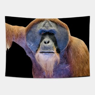 Orangutans / Swiss Artwork Photography Tapestry