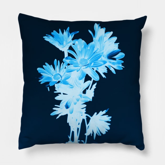 Cyanotype Art Printing Blue Flowers Daisy Photography Pillow by PodDesignShop