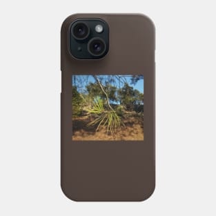 Fir needles in the Provence in the South of France. Phone Case