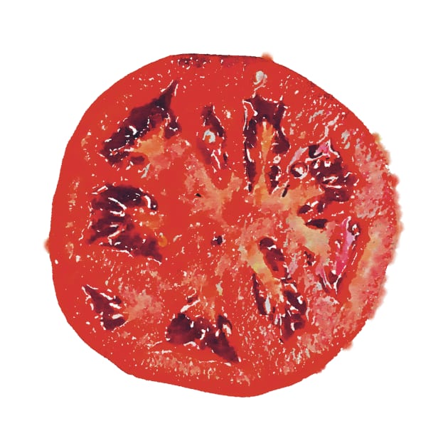 Juicy Red Tomato from the Garden by Griffelkinn