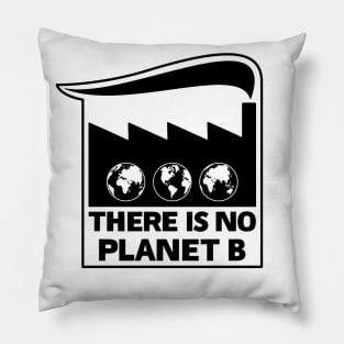 There Is No Planet B Pillow