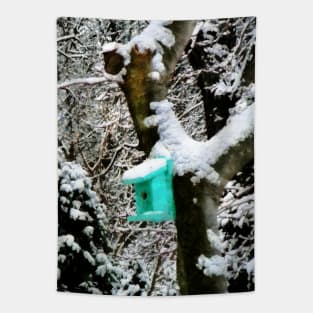 Turquoise Birdhouse in Winter Tapestry