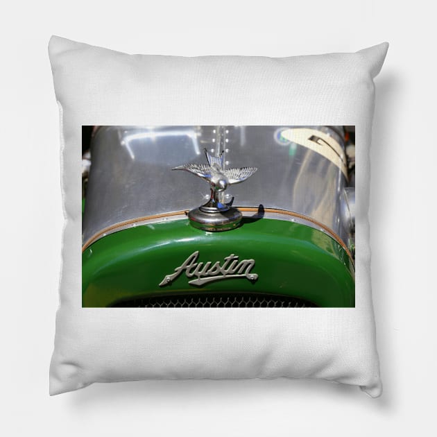 Austin detail Pillow by annalisa56