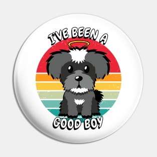 Cute schnauzer dog is a good boy Pin