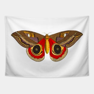 Butterfly Moth illustrated Tapestry