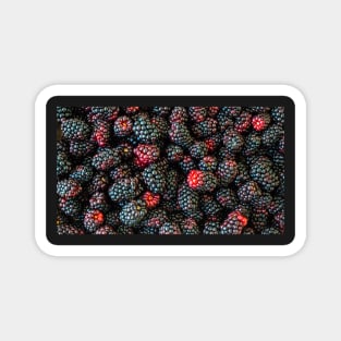 blackberries Magnet