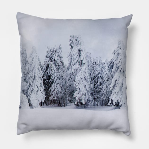 snowy fir Pillow by 1STunningArt