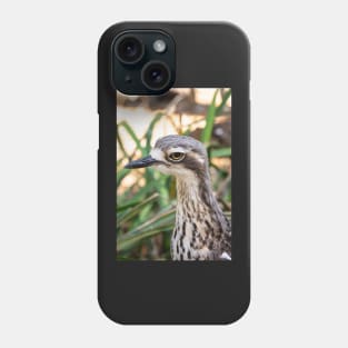 Close up of bush stone curlew bird. Phone Case