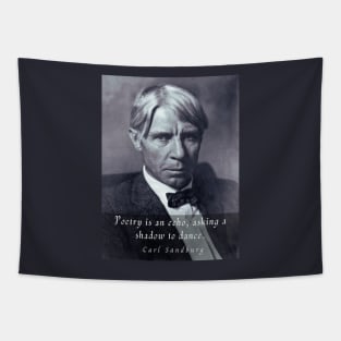 Copy of  Carl Sandburg: Poetry is an echo, asking a shadow to dance. Tapestry