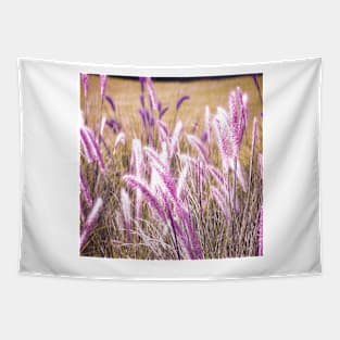 Fountain Grass in purple Tapestry