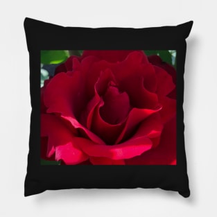 Red Rose Pillow