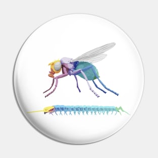 Evolution Hox Genes Similarities Housefly and centipede Pin