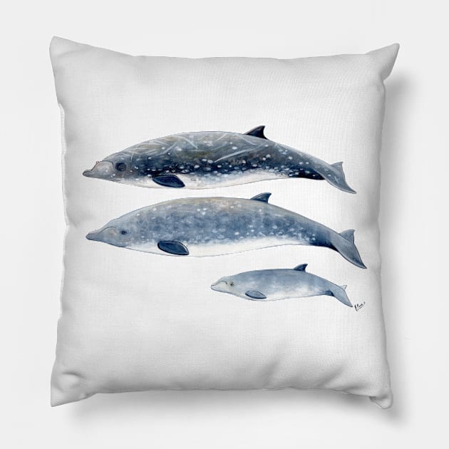 Blainville´s beaked whales Pillow by chloeyzoard