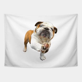 Bulldog Shake Shake Paws! Tapestry