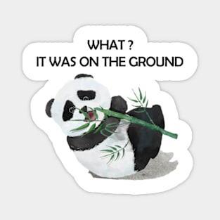 Panda Funny, What it was on the ground Magnet