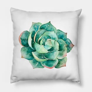 Watercolor hand painted botanical Succulent sticker Pillow