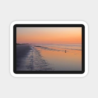 Ogunquit Beach Morning Light Ogunquit Maine Sunrise Magnet