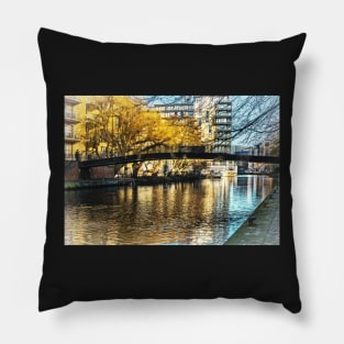 The River Kennet In Reading Pillow