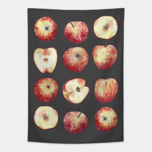 Apples Tapestry