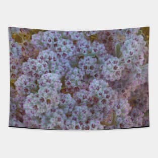 White and Pink Australian Wildflowers Tapestry