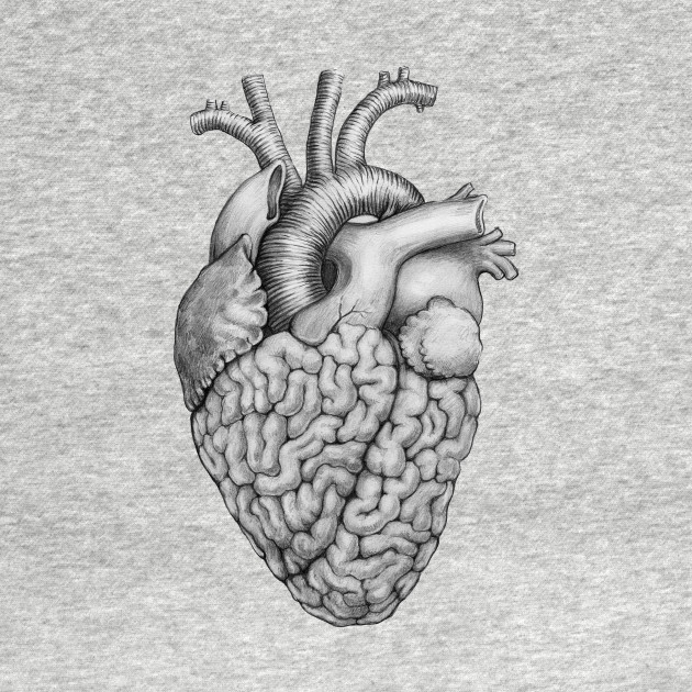 Résultat de recherche d'images pour "heart brain"