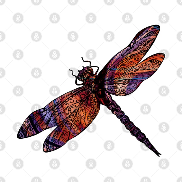 Ornate Dragon Fly Colorful Insect Illustration by VintCam