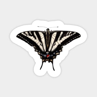 Pale Swallowtail Magnet