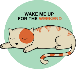 Cat Wake me up for the weekend Magnet