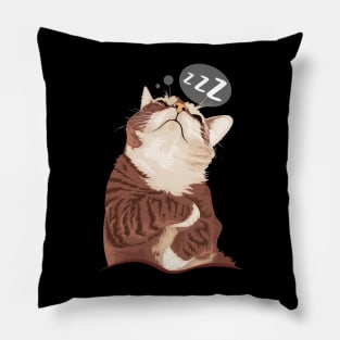 Sleeping Cat Pillow