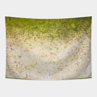 Green gradient rough Tapestry