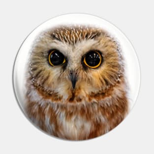 Closeup of a Cute Northern Saw Whet Owl Pin