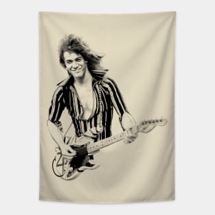 Eddie van halen tapestry best sale