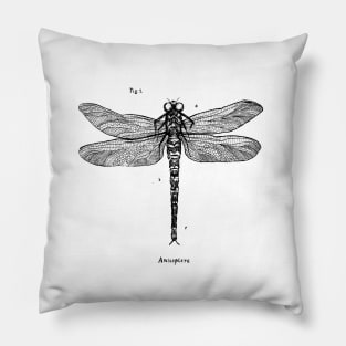 Anisoptera Pillow