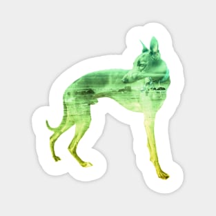 Green & Yellow Waves Whippet Magnet