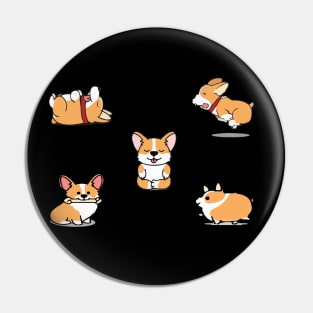 corgi puppies Pin