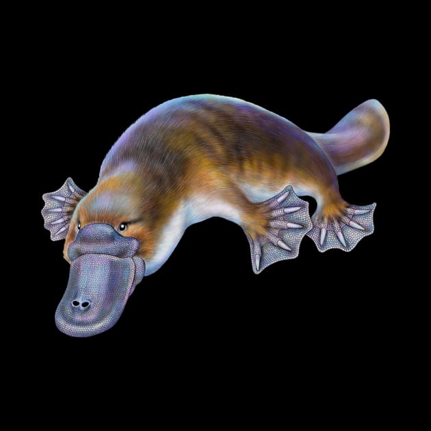 Platypus by Tim Jeffs Art