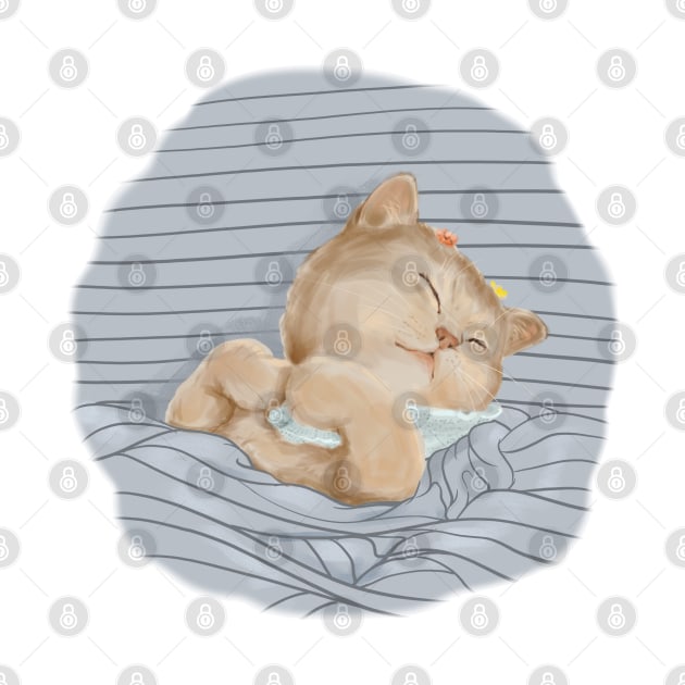 睡觉超可爱的猫咪Sleeping super cute cat by take a book