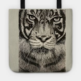 Tiger sketch Tote