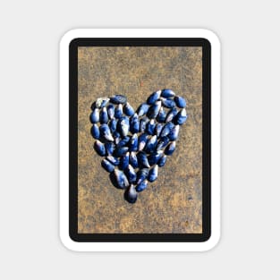 A heart made out of muscle shells Magnet