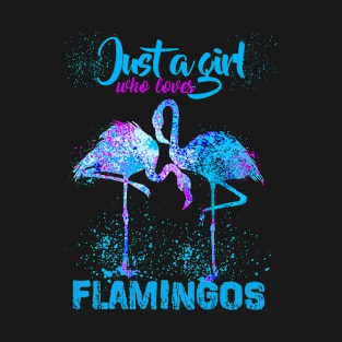 Just A Girl Who Loves Flamingos Funny Gift T-Shirt