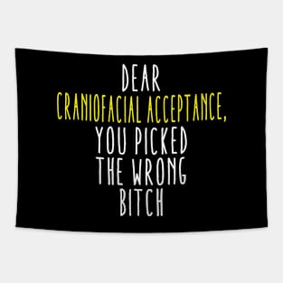 Dear Craniofacial Acceptance You Picked The Wrong Bitch Tapestry