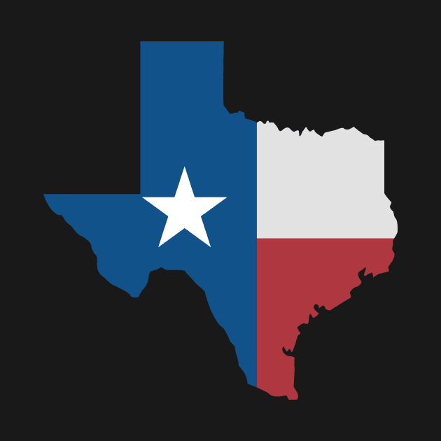 Texas map flag. Graphic Design by DenysHolovatiuk