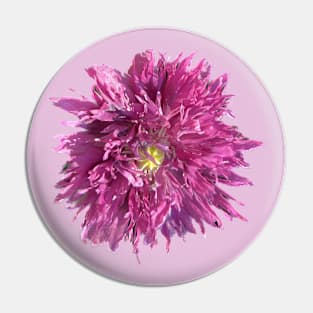 Pink Poppy Pin