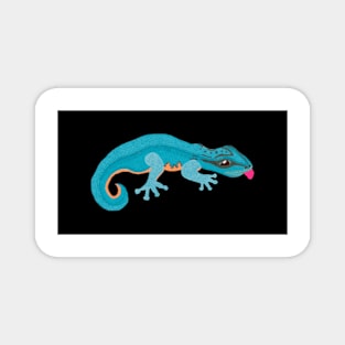 Turquoise Gecko Magnet