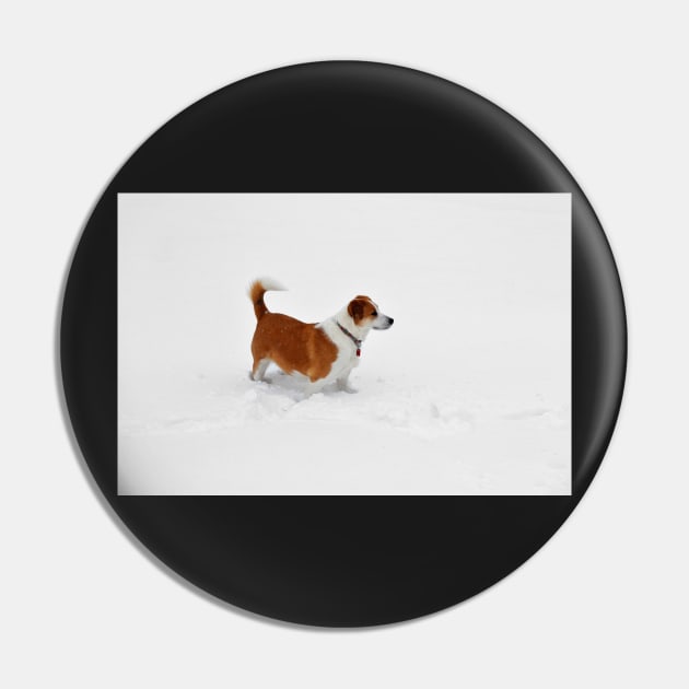 Interrupting the Winter Whiteness Pin by bgaynor