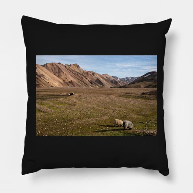 The Residents of Landmannalaugar Pillow by krepsher