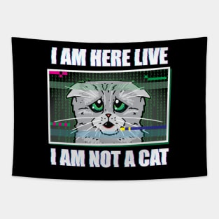 I AM HERE LIVE I AM NOT A CAT - Funny Lawyer Cat Video Call Meme Tapestry