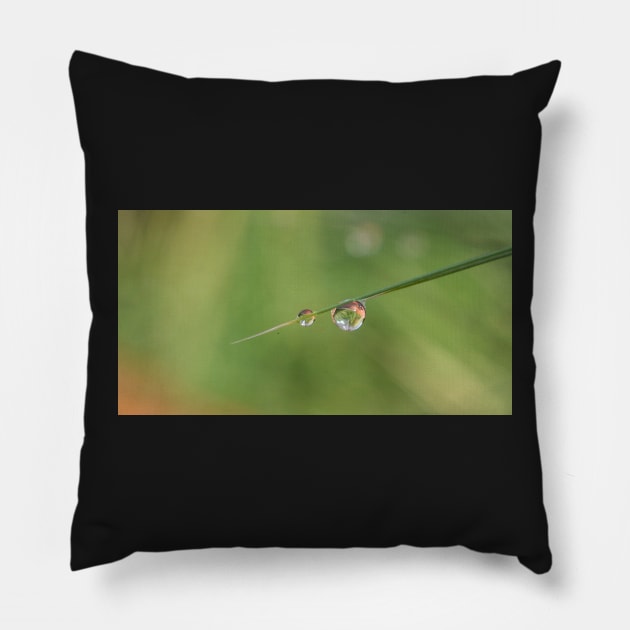 Dew on Grass Pillow by mariola5