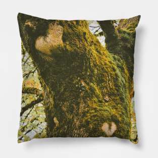 Moss Heart Pillow